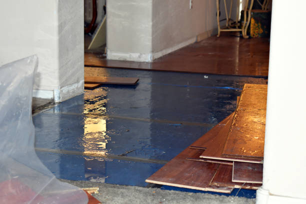 Professional Burst Pipe Cleanup technician working in Edenville, MI