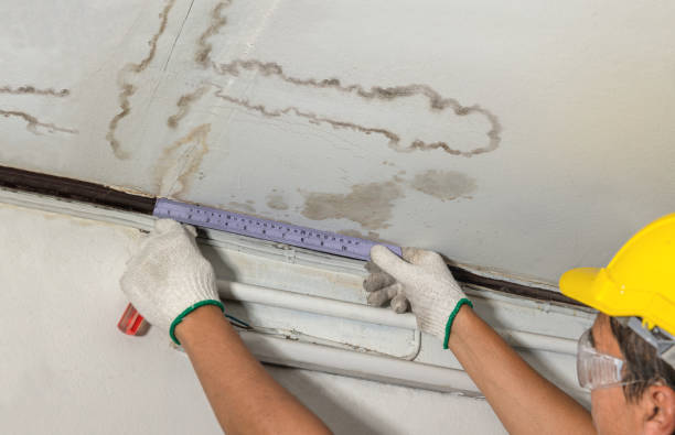 Reliable Burst Pipe Cleanup contractor in Edenville, MI by Water Damage Irwin